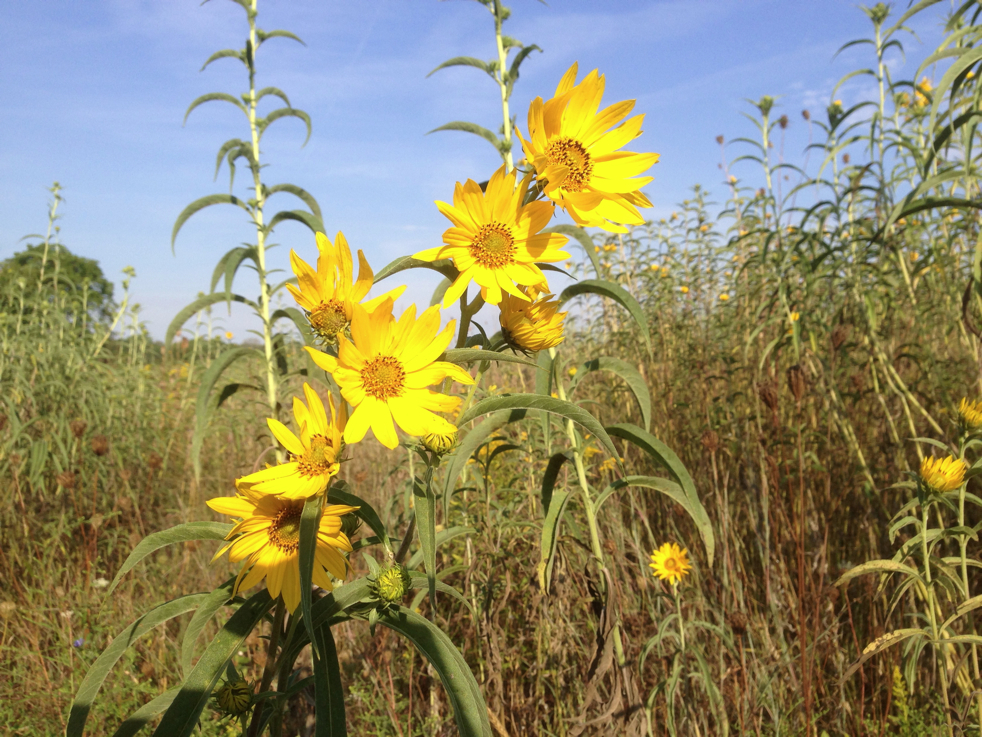 Full Size Image = 6144 K