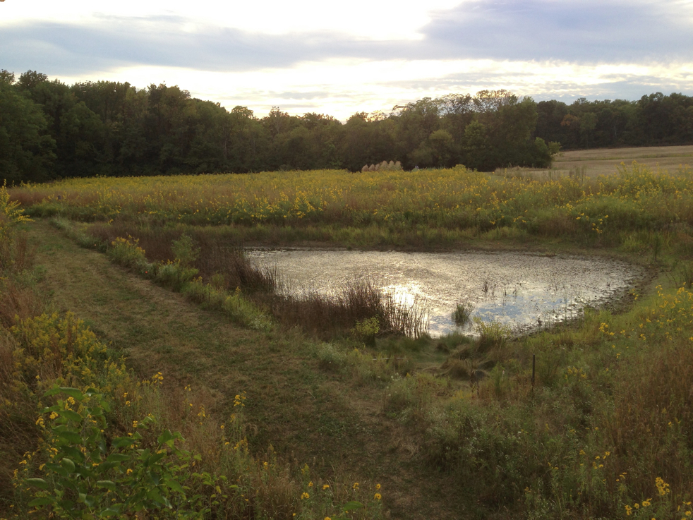 Full Size Image = 5536 K