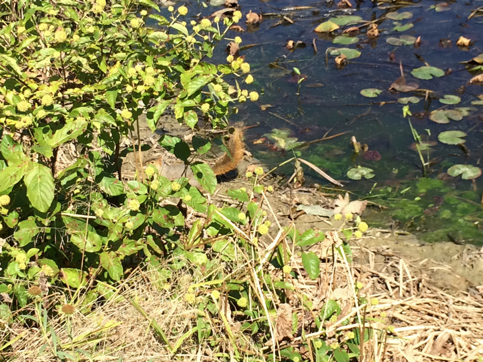 Full Size Image = 5519 K