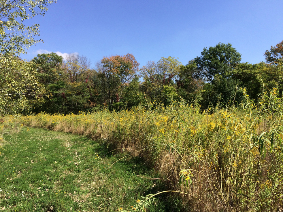 Full Size Image = 9281 K