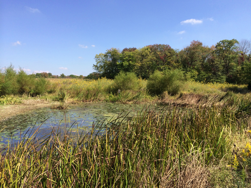 Full Size Image = 8090 K