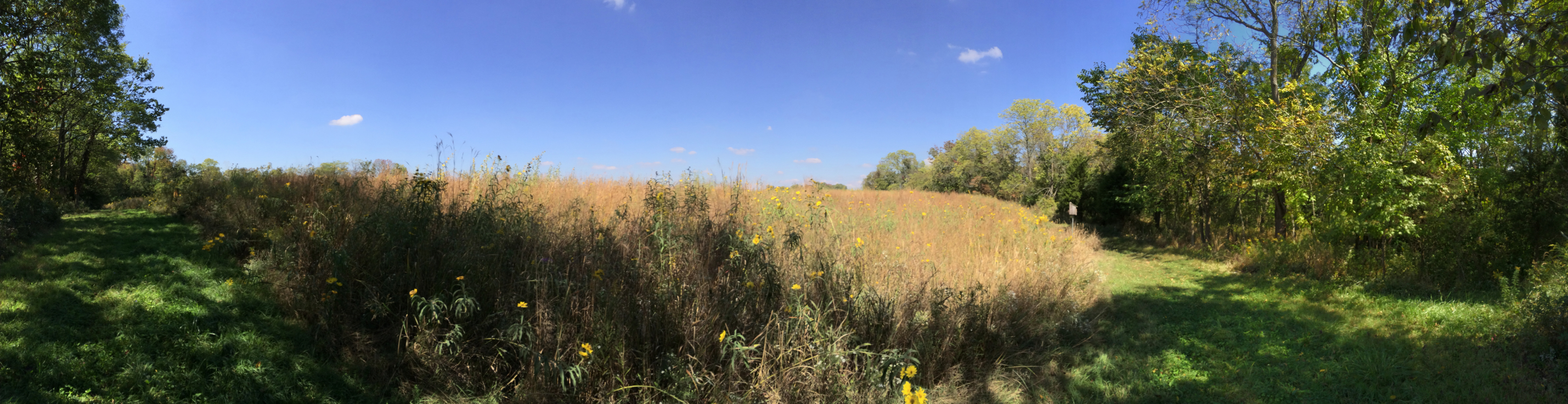 Full Size Image = 16684 K