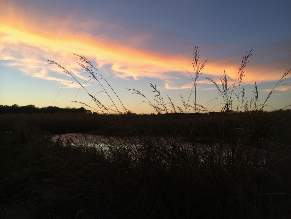 Full Size Image = 3598 K