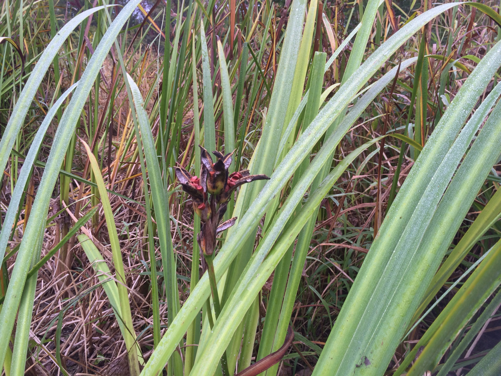 Full Size Image = 7197 K