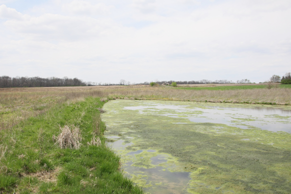 Full Size Image = 2070 K