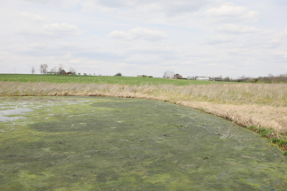 Full Size Image = 2030 K