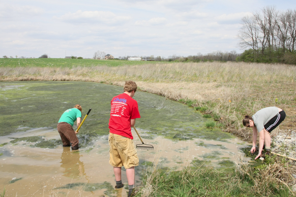 Full Size Image = 2480 K