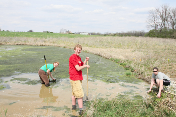 Full Size Image = 2492 K