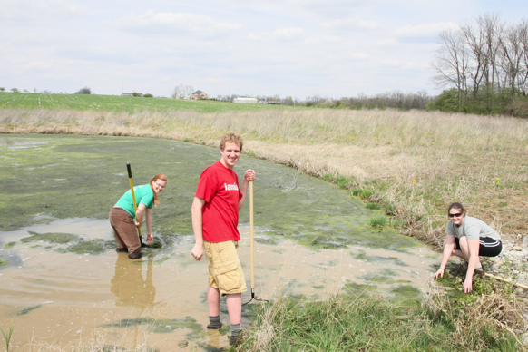 Full Size Image = 2516 K