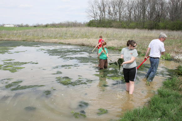 Full Size Image = 2466 K