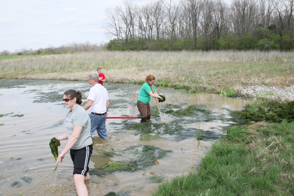 Full Size Image = 2751 K