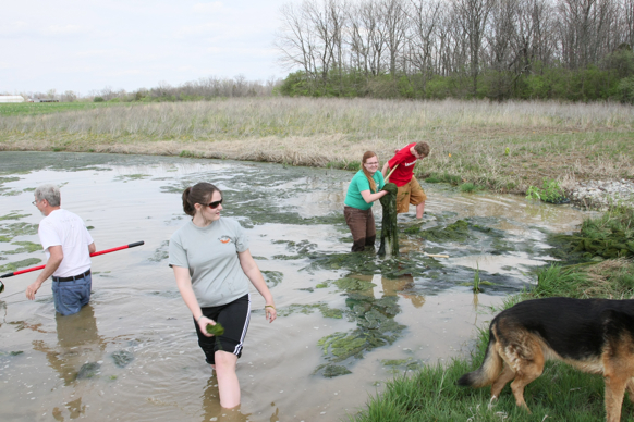 Full Size Image = 2521 K