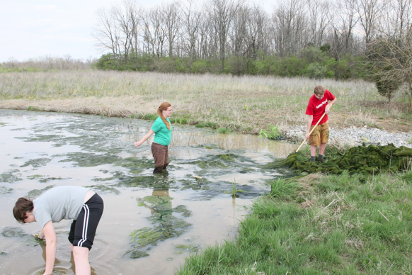 Full Size Image = 2971 K