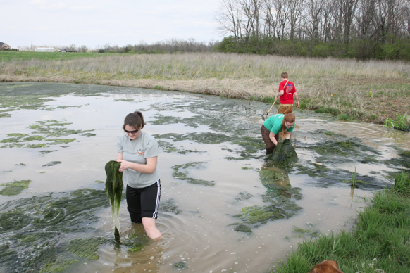 Full Size Image = 2494 K