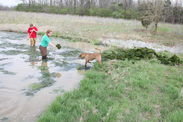 Full Size Image = 3158 K