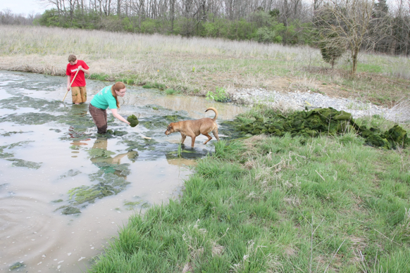 Full Size Image = 3158 K