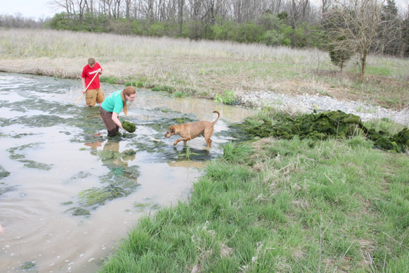 Full Size Image = 3135 K