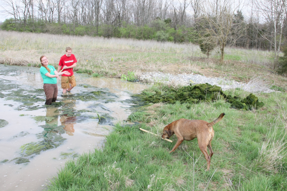 Full Size Image = 2993 K