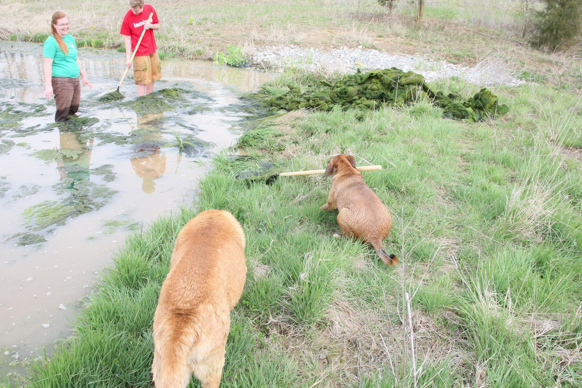 Full Size Image = 3317 K