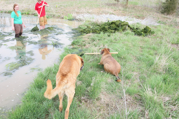 Full Size Image = 3299 K