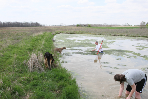 Full Size Image = 2338 K