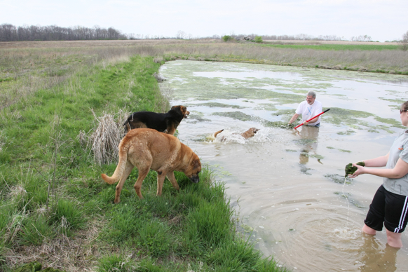 Full Size Image = 2632 K