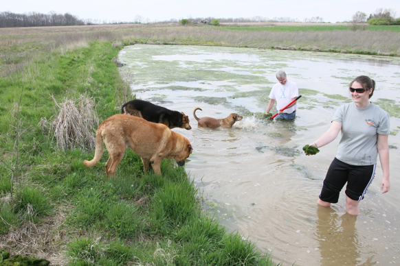 Full Size Image = 2687 K