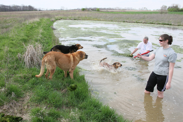 Full Size Image = 2700 K