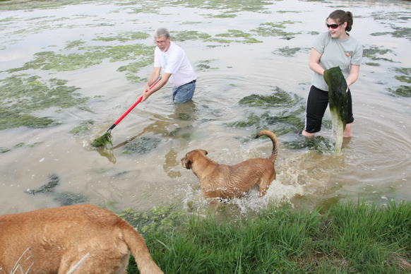 Full Size Image = 2401 K