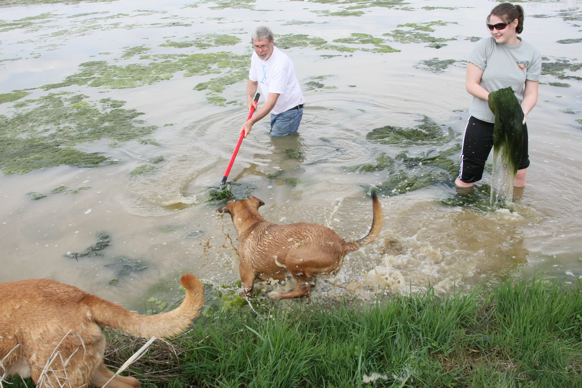 Full Size Image = 2472 K