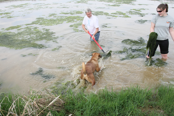 Full Size Image = 2566 K