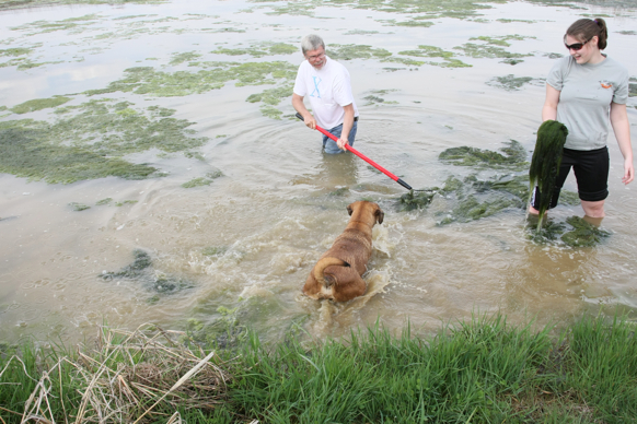 Full Size Image = 2596 K