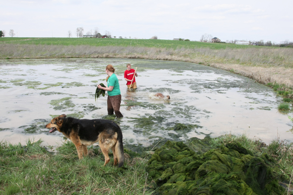 Full Size Image = 2439 K