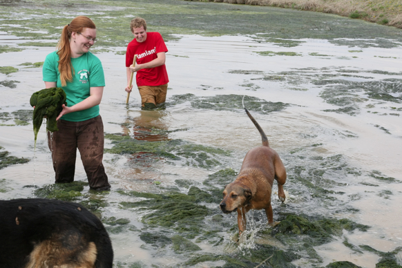 Full Size Image = 2395 K