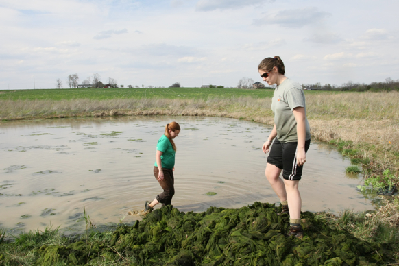 Full Size Image = 2080 K