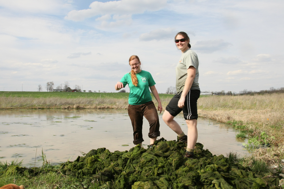 Full Size Image = 2015 K