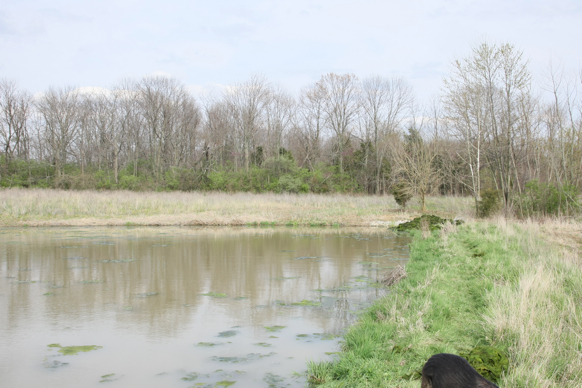 Full Size Image = 2406 K