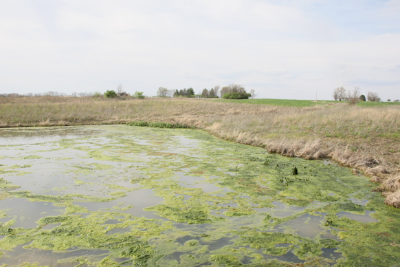 Full Size Image = 2144 K