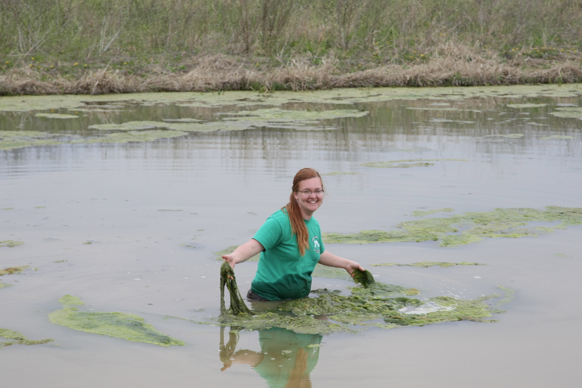 Full Size Image = 1530 K