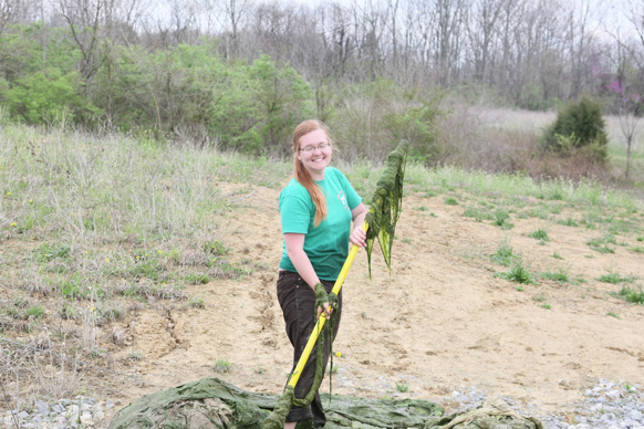 Full Size Image = 2650 K