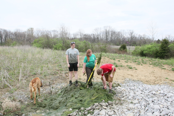 Full Size Image = 2766 K