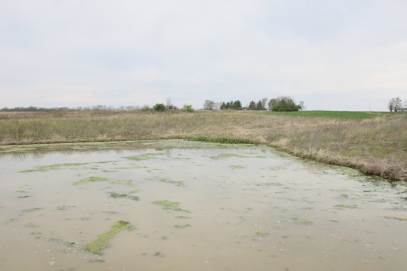 Full Size Image = 1395 K