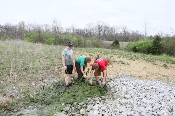 Full Size Image = 2918 K