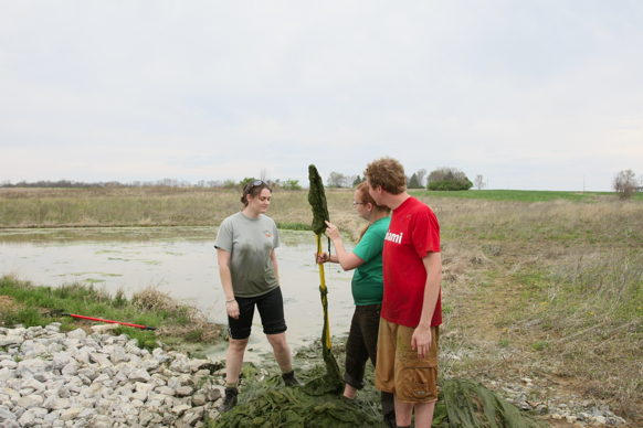 Full Size Image = 1907 K