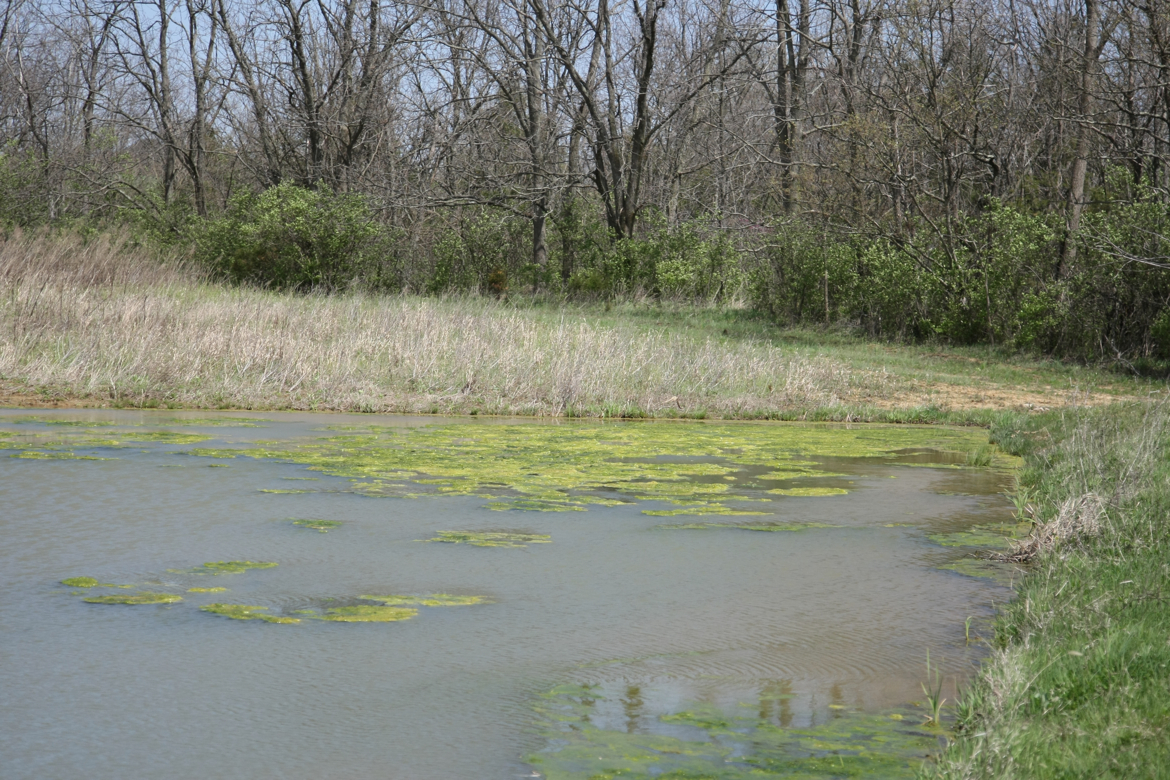 Full Size Image = 6630 K