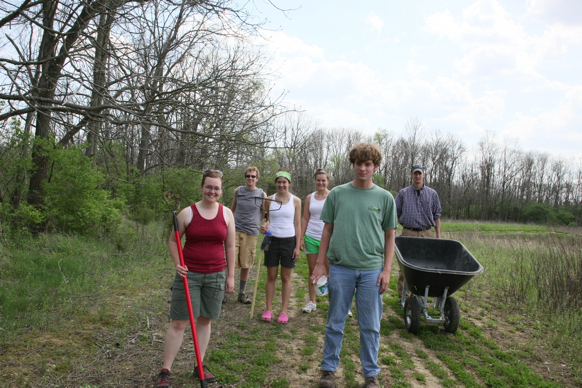 Full Size Image = 2267 K