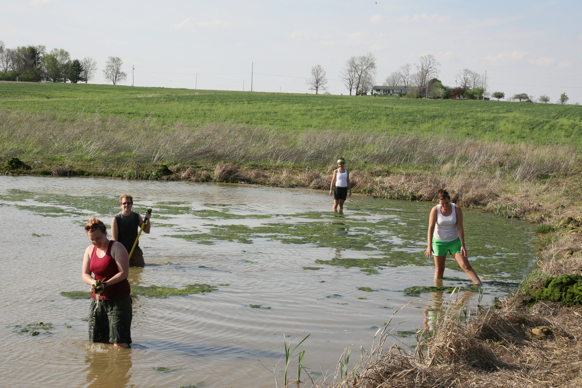 Full Size Image = 1917 K