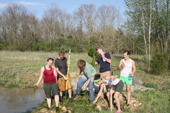 Full Size Image = 2411 K