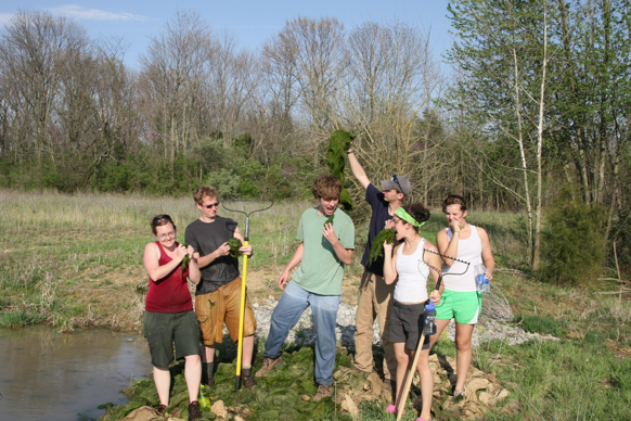 Full Size Image = 2369 K