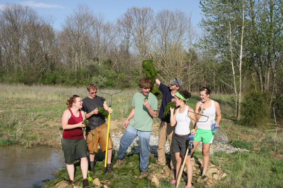 Full Size Image = 2372 K